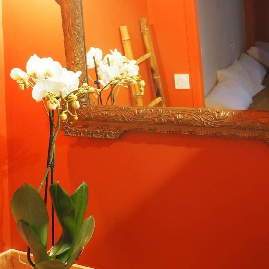 Fitou La Terrasse Vigneronne Bed & Breakfast エクステリア 写真